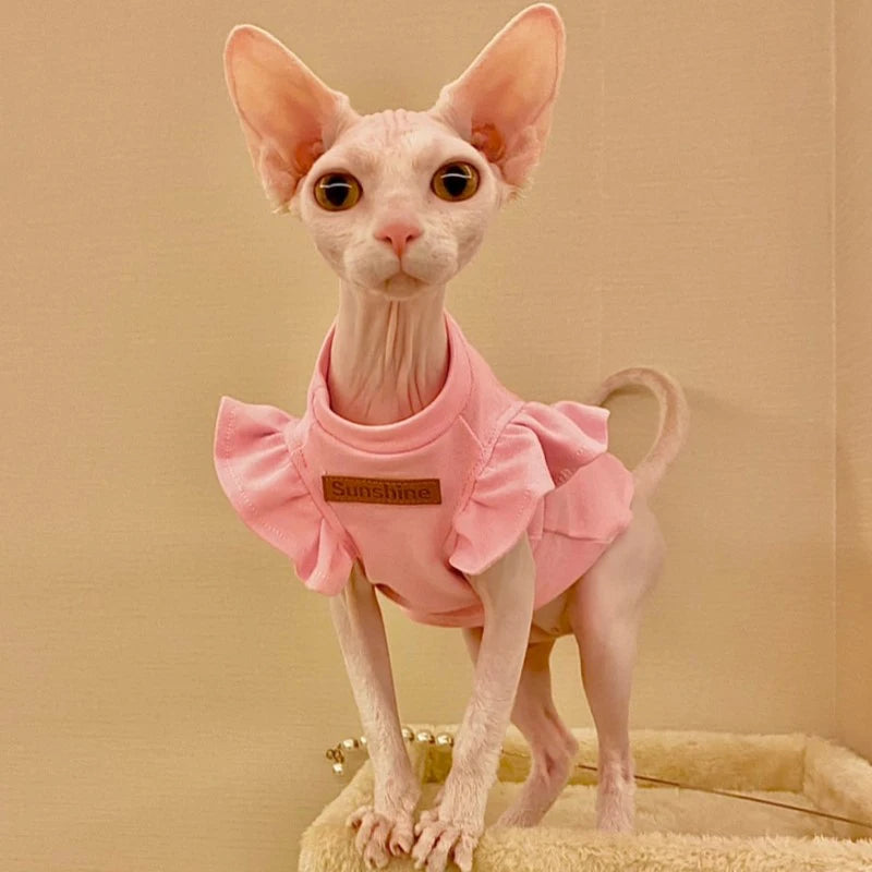 Šaty pro kočky Sphynx