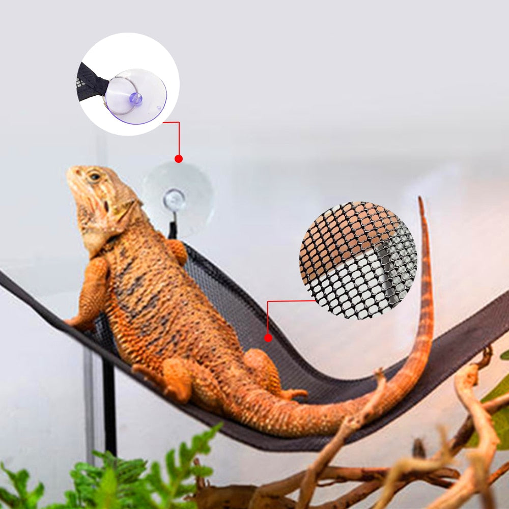 Houpací síť pro ještěrky