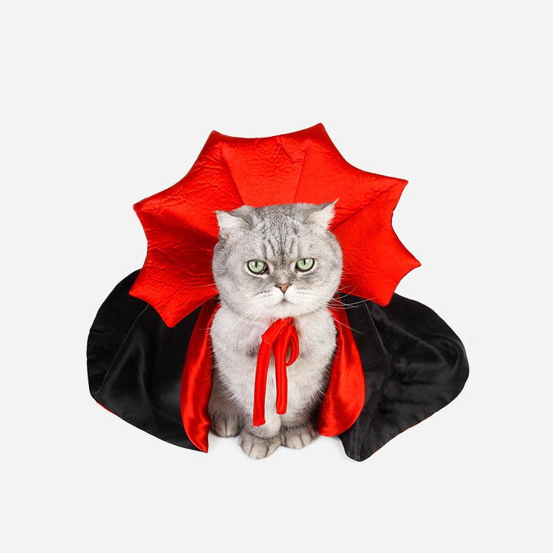Kostým Dracula pro kočky