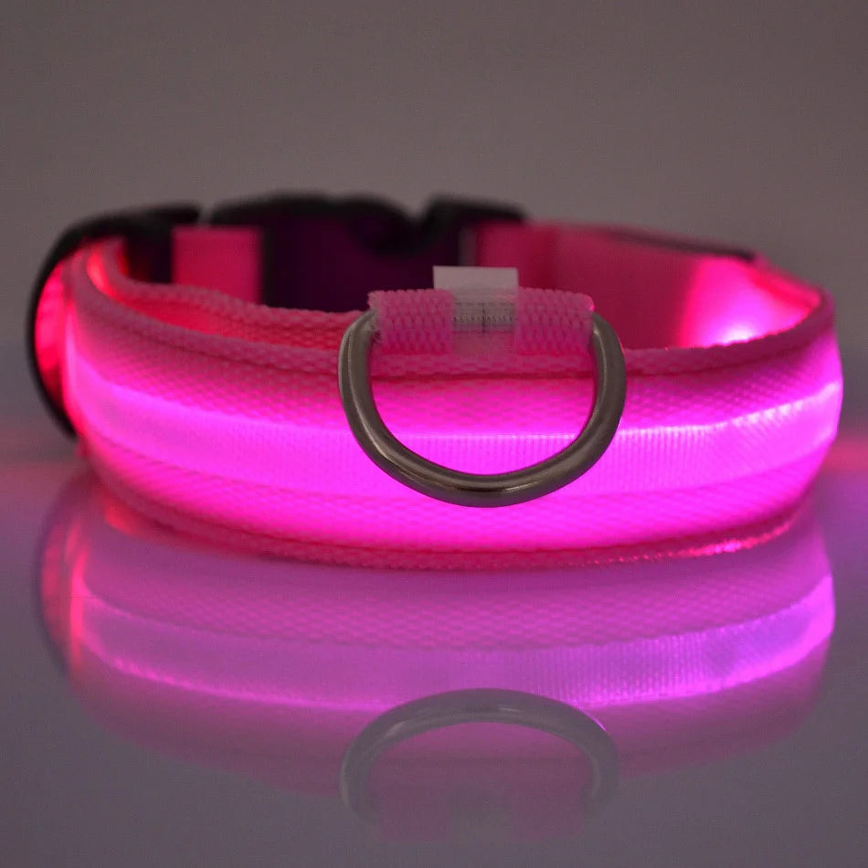 Obojek pro psy s LED