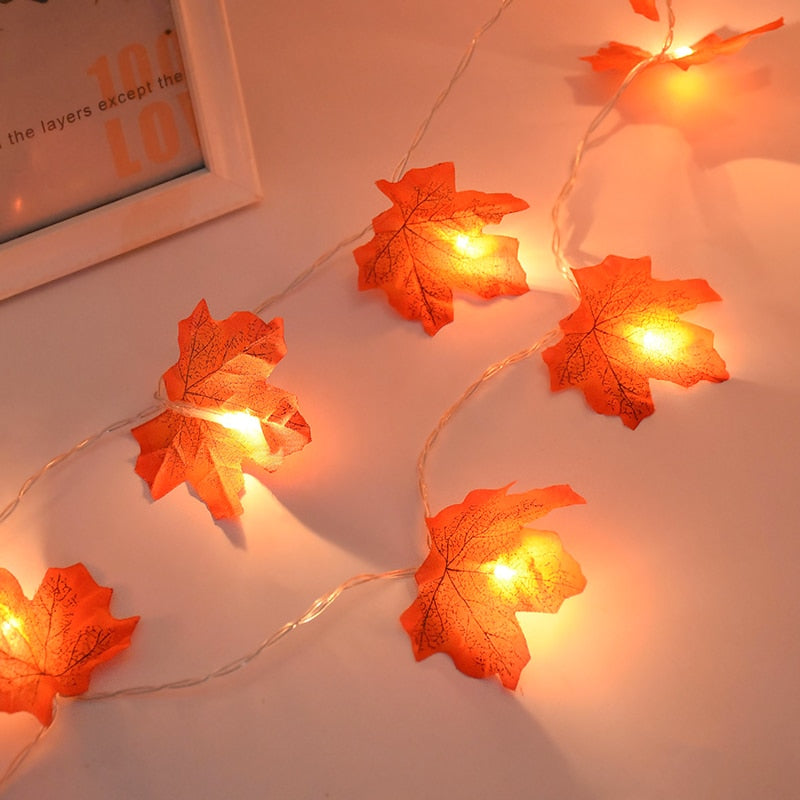 LED světla podzim