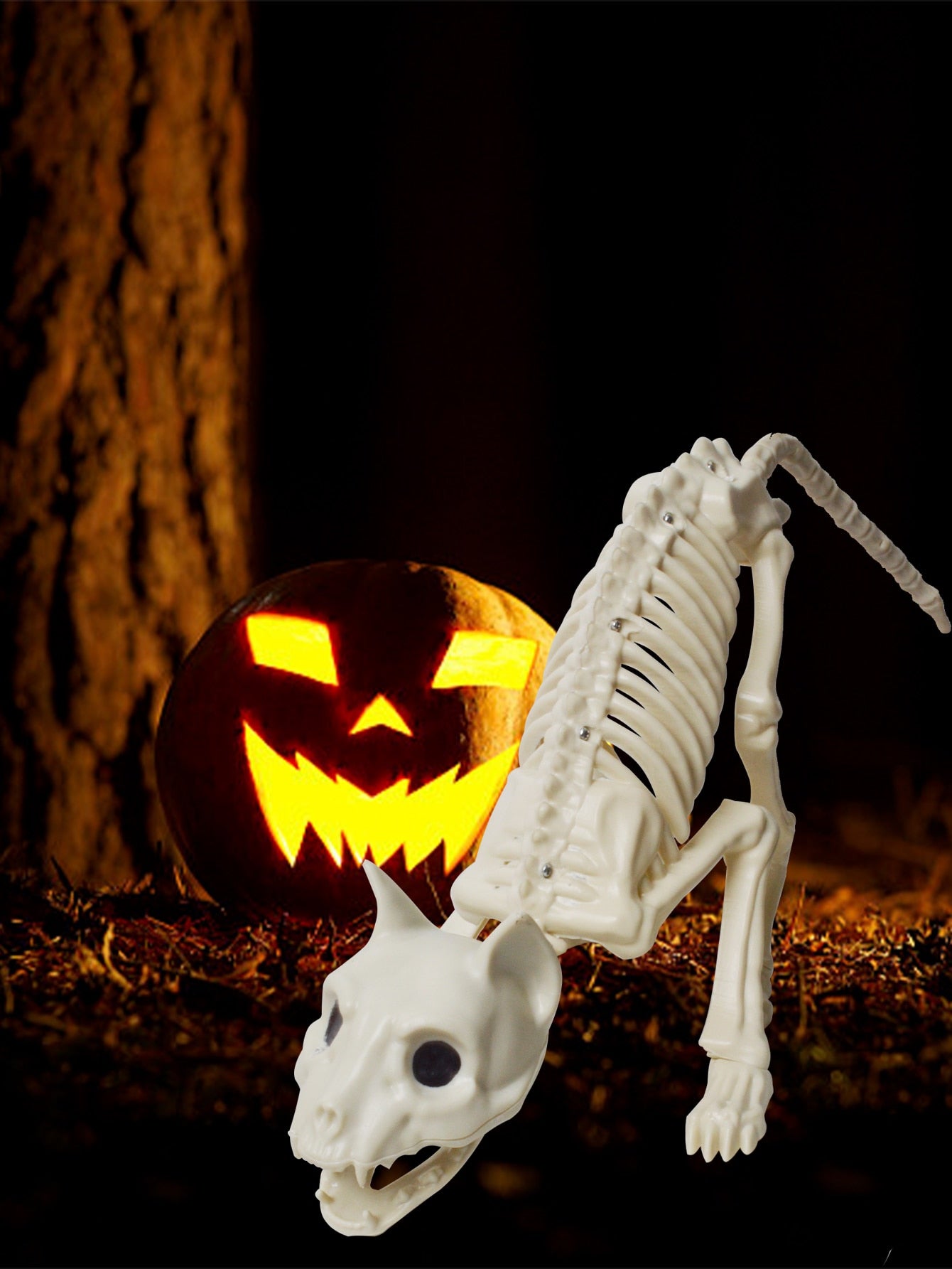 Dekorační kosti na Halloween
