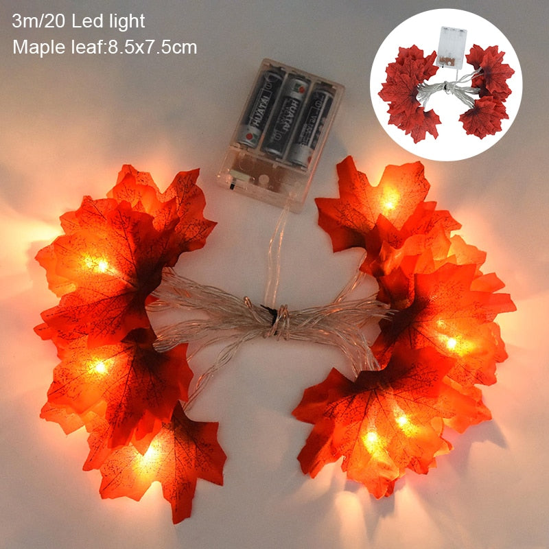 LED světla podzim
