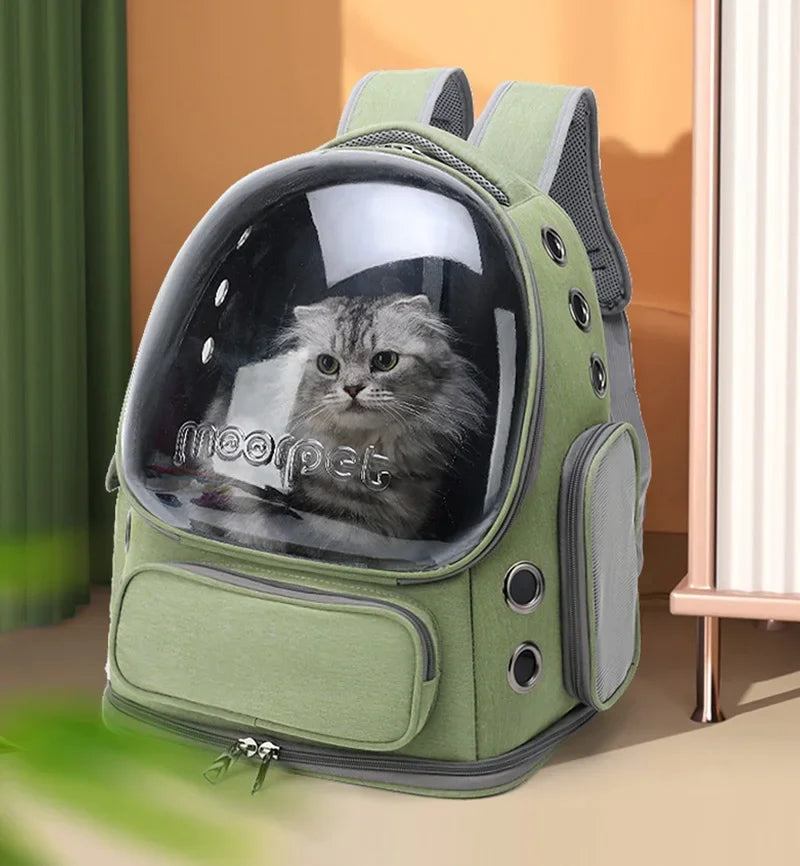 Batoh s kapsou pro kočky