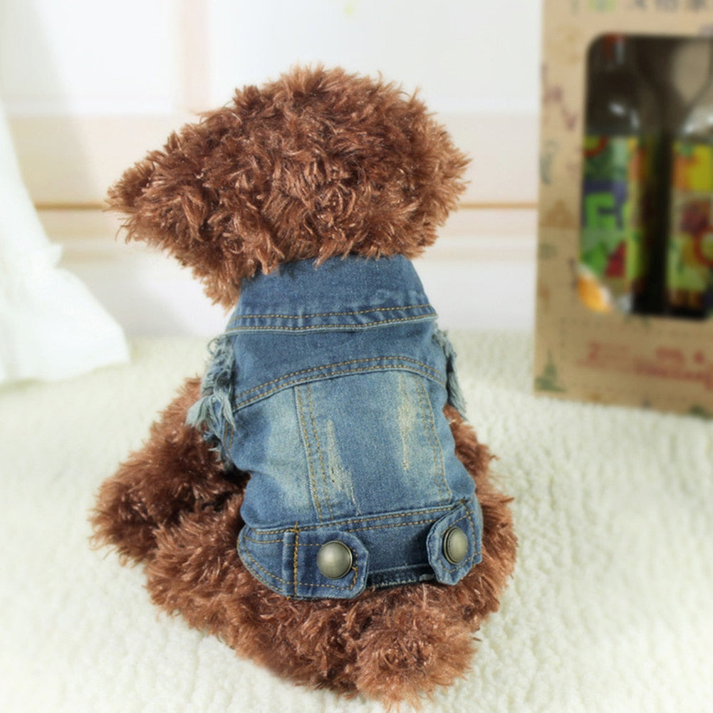 Denim bunda pro psy