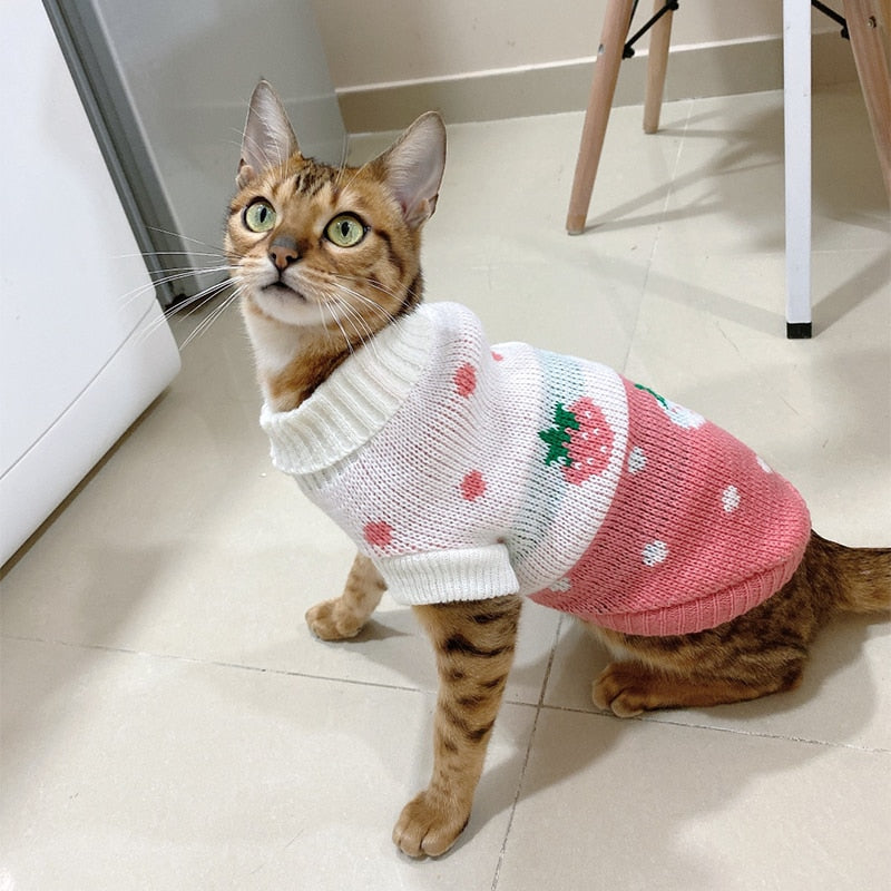 Svetr pro kočky Sphynx