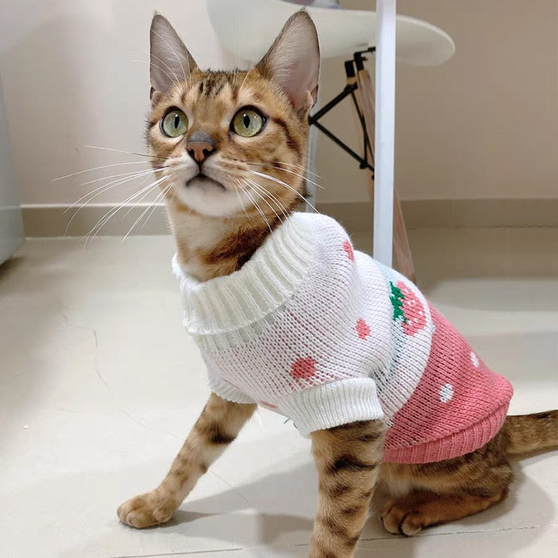 Svetr pro kočky Sphynx