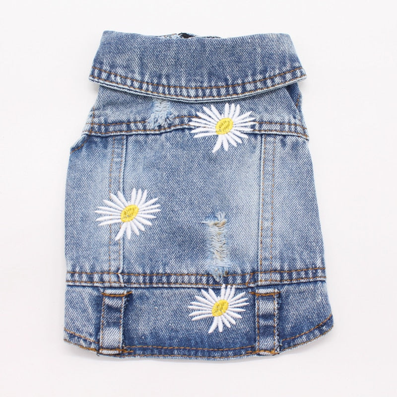 Denim bunda pro psy