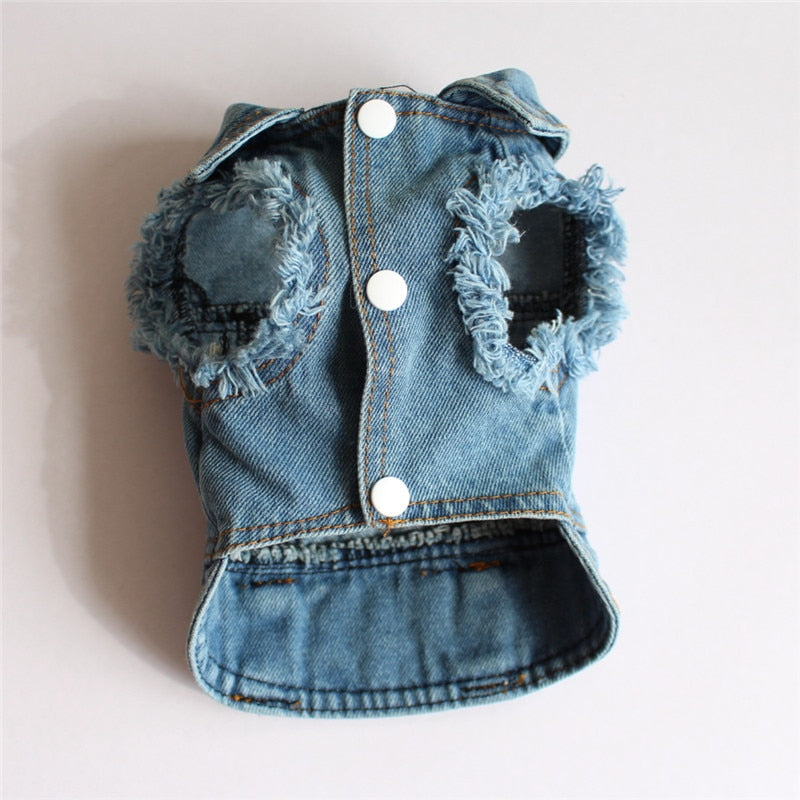 Denim bunda pro psy