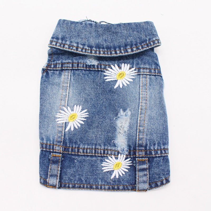 Denim bunda pro psy