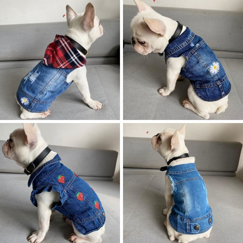 Denim bunda pro psy