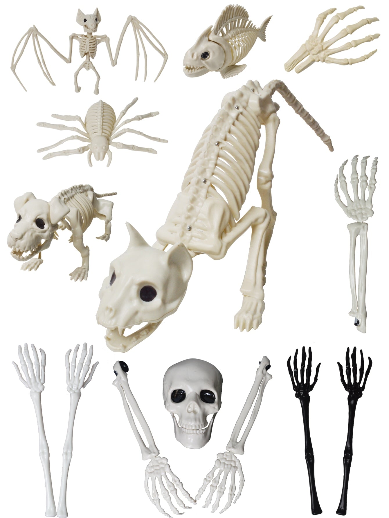 Dekorační kosti na Halloween
