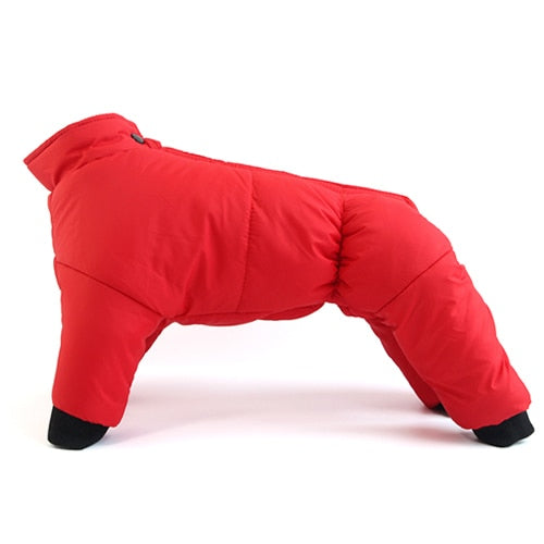 Psí zimní bunda s rolákem