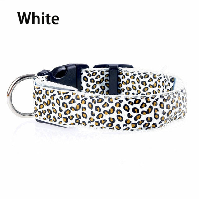 Svítící leopardí obojek