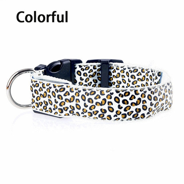 Svítící leopardí obojek