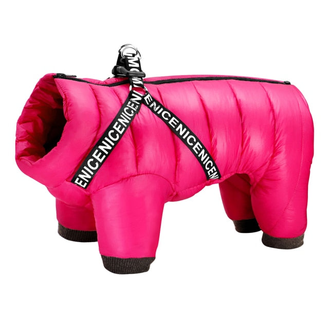 Teplá bunda pro psy