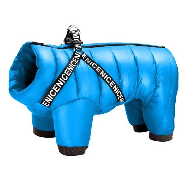 Teplá bunda pro psy
