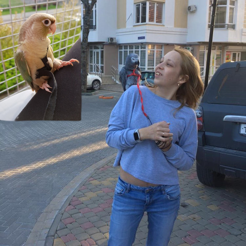 Postroj pro papoušky