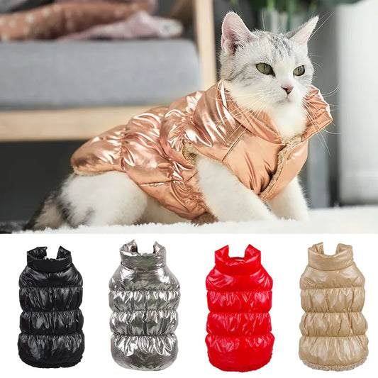 Metalická bunda pro kočky