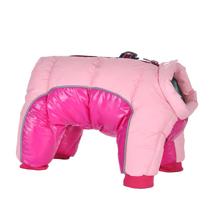 Bunda se vzorem pro psy