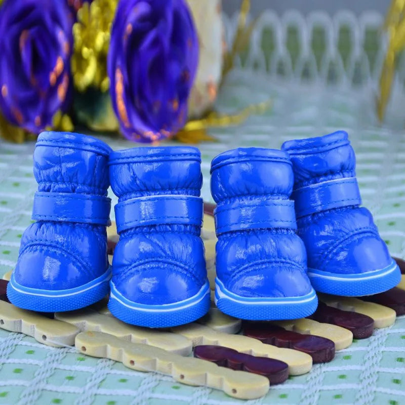 Zimní boty pro psy