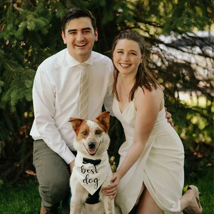 Šátek Dog of Honor