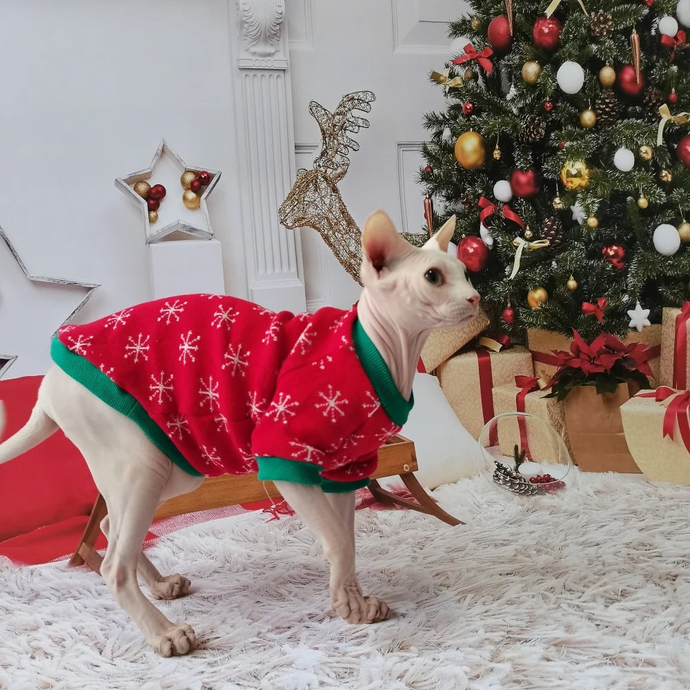 Vánoční oblečení pro sphynx