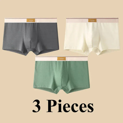 Pánské pohodlné boxerky