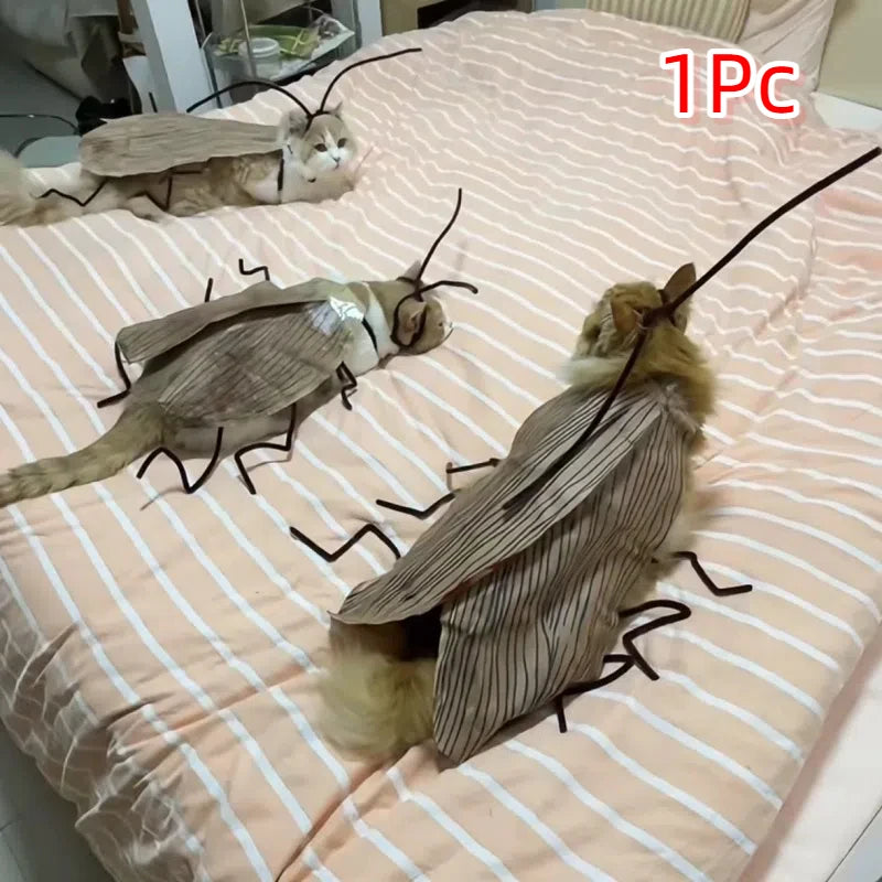 Kostým švába pro kočky