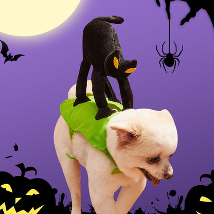 Kostým pro kočky na Halloween