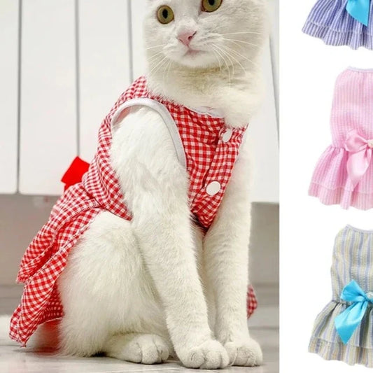Šaty pro kočky