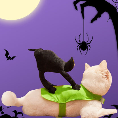 Kostým pro kočky na Halloween