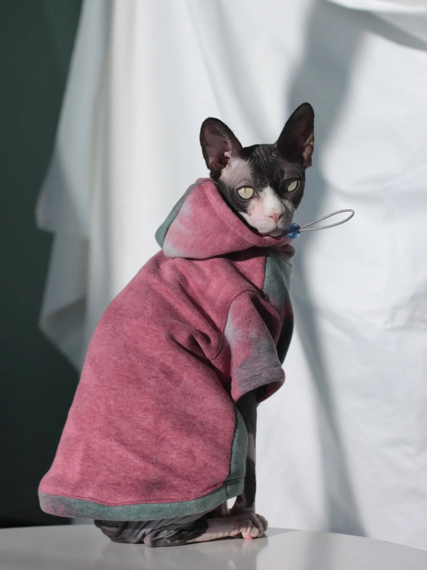 Mikina pro Sphynx kočky