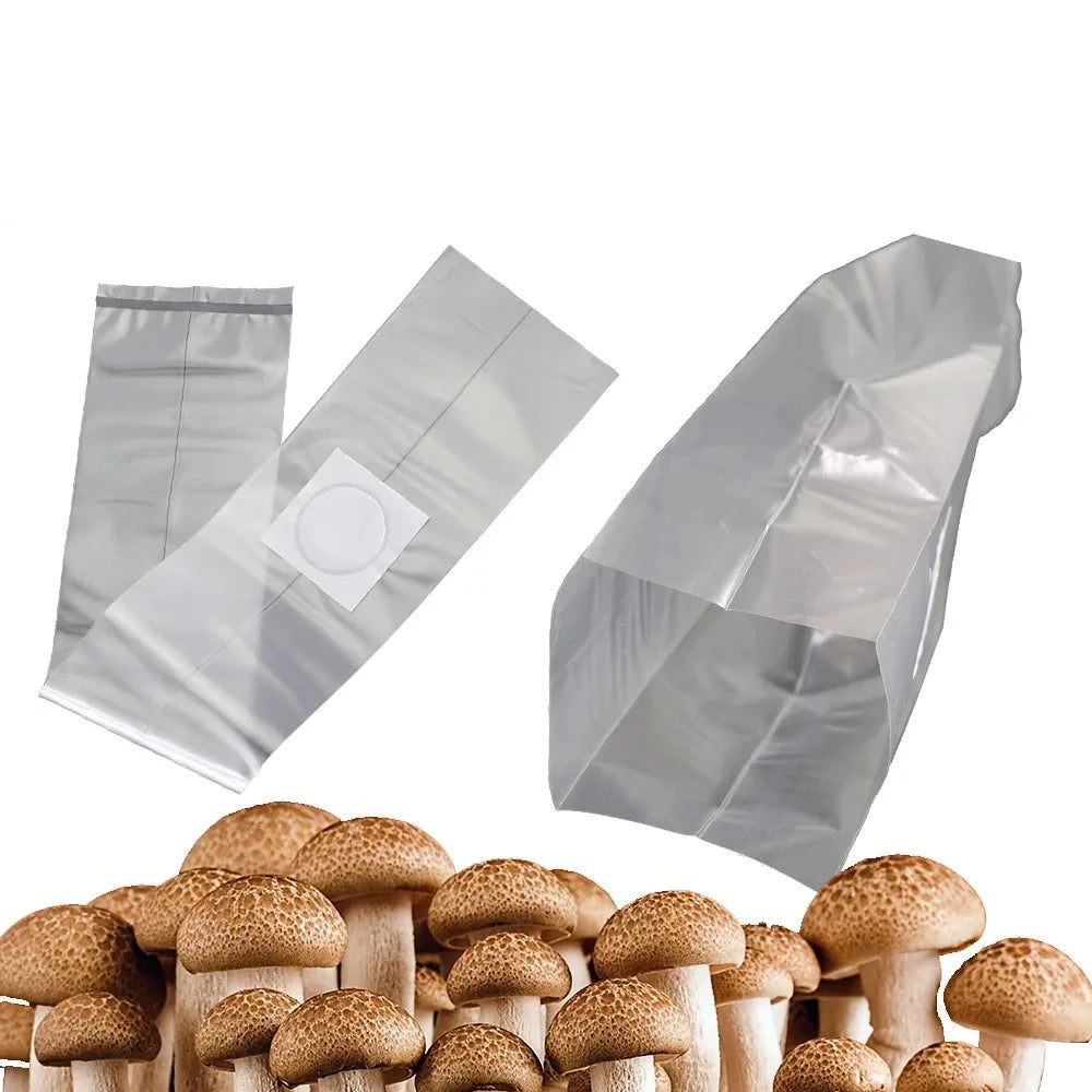 47637780660564|47637780693332|47637780726100|47637780758868|47637780791636|47637780824404|47637780857172|47637780889940|47637780922708|47637780955476|47637780988244|47637781021012|47637781053780|47637781086548|47637781152084|47637781217620|47637781283156|47637781348692|47637781414228|47637781479764|47637781512532|47637781545300|47637781578068|47637781610836|47637781643604|47637781676372|47637781709140|47637781741908|47637781774676|47637781807444|47637781840212|47637781872980|47637781905748|47637781938516|47