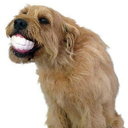 Vtipný míček pro psy