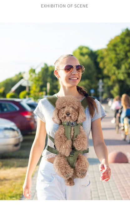 Postroj na přepravu psa