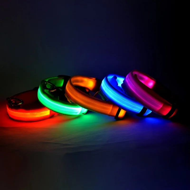 Obojek pro psy s LED