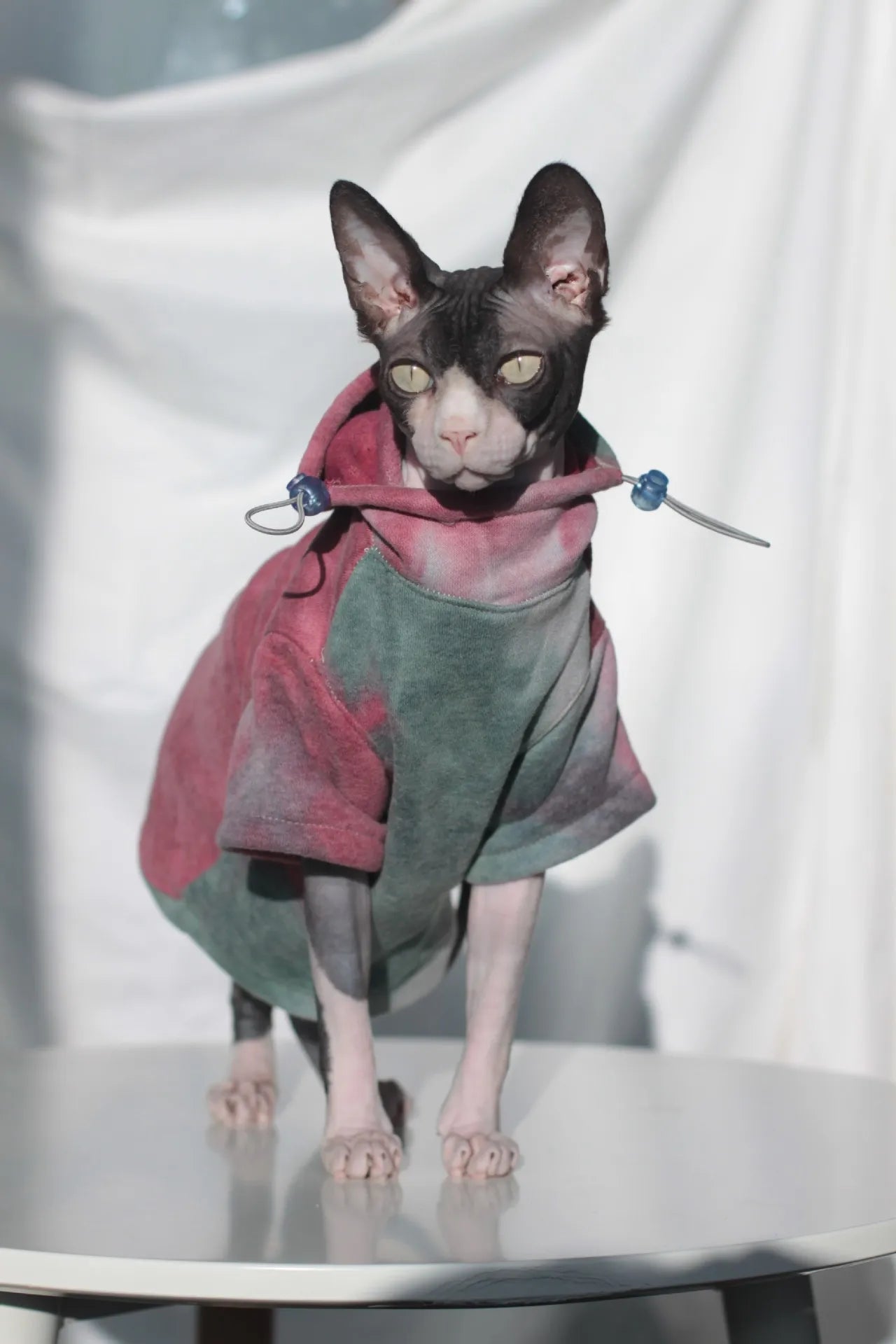Mikina pro Sphynx kočky