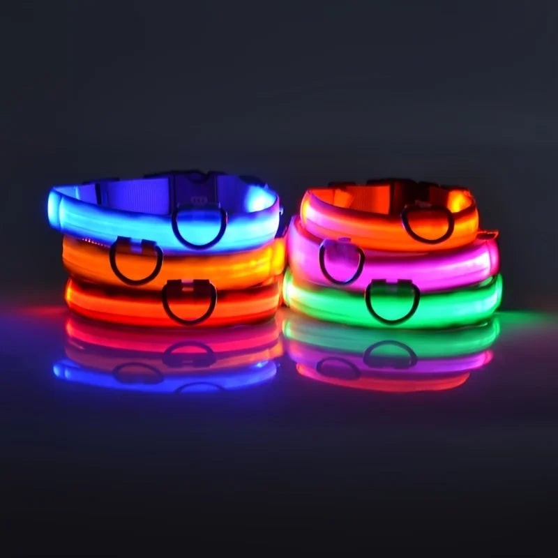Obojek pro psy s LED
