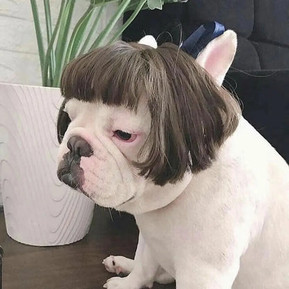 Paruka pro zvířata