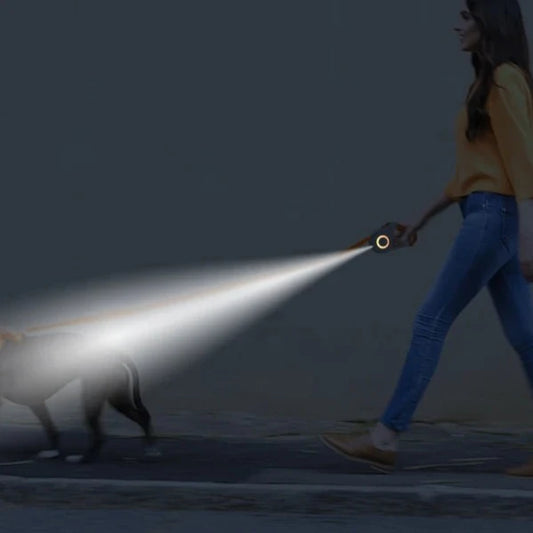 Vodítko na psa s LED