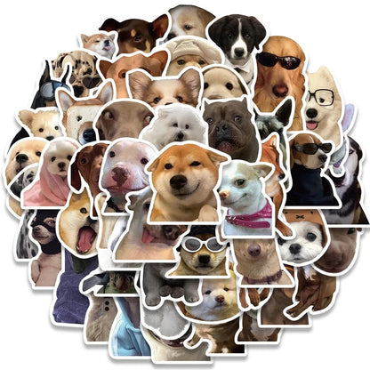 49485400113492|49485400146260|49485400179028|49485400211796