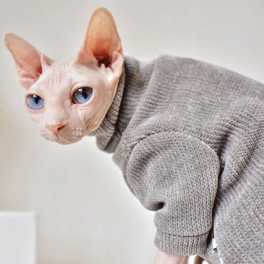 Teplý svetr pro kočky