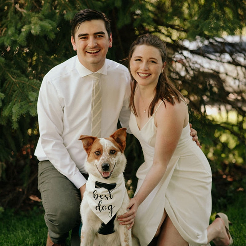 Šátek Dog of Honor