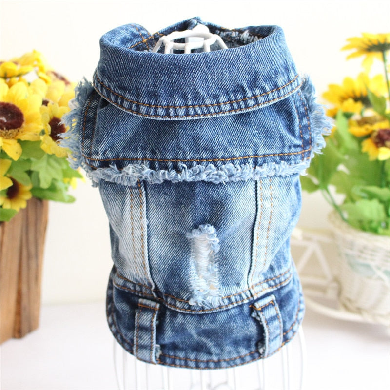 Denim bunda pro psy
