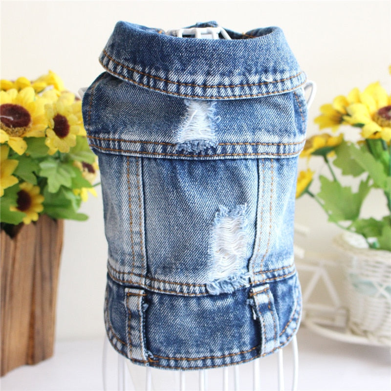 Denim bunda pro psy