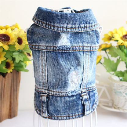 Denim bunda pro psy