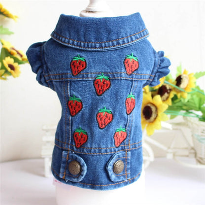 Denim bunda pro psy