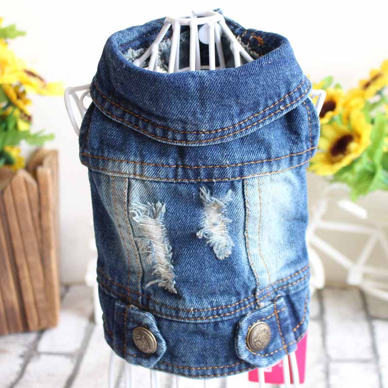 Denim bunda pro psy