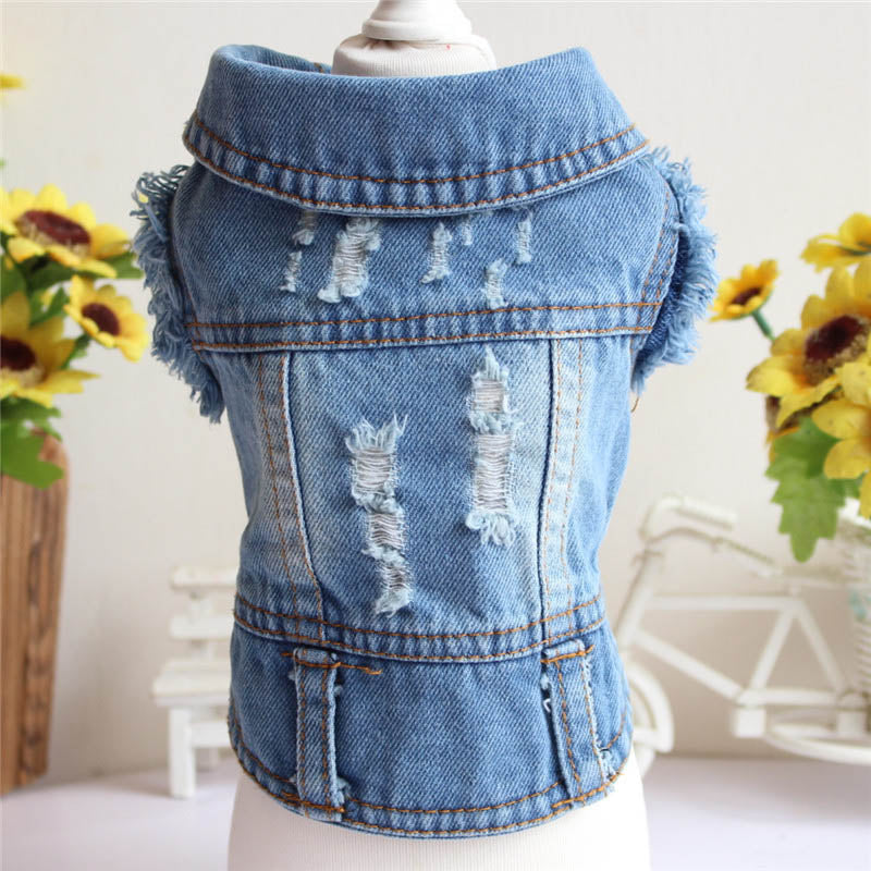 Denim bunda pro psy